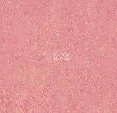 Линолеум Forbo Marmoleum Decibel on Order 326835 honey suckle фото 1 | FLOORDEALER